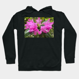 Summer Pink Rhododendron Riot in the Rain Hoodie